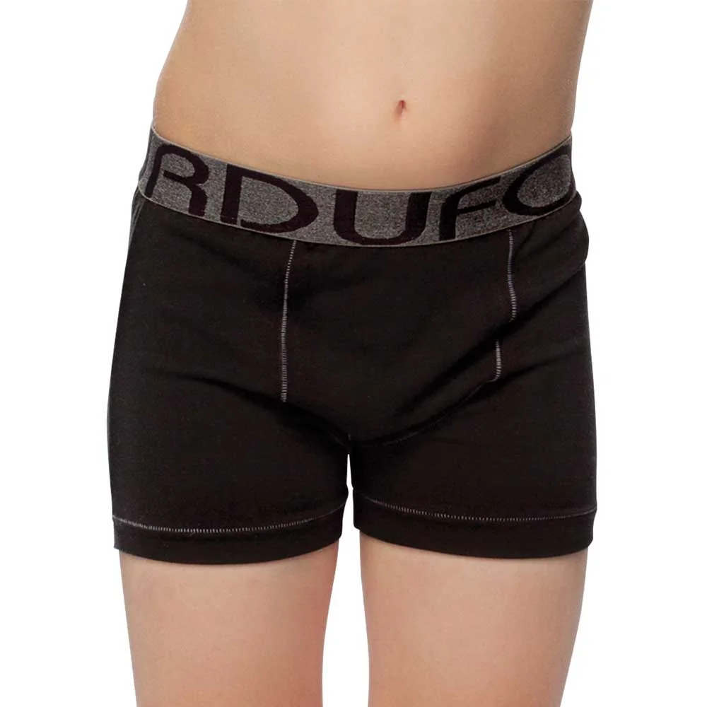 Alternative view of boxer juvenil