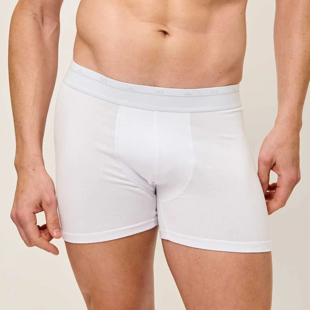 Boxer Algo y Lyc