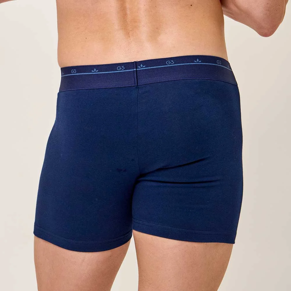 Alternative view of Boxer Algo y Lyc
